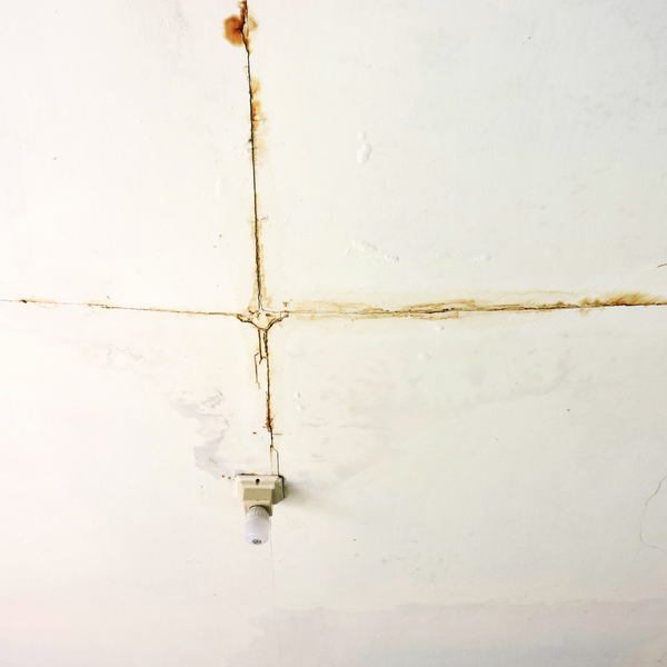 Image showcasing Four Essential Tips for Maintaining Your Acoustic Ceiling — Read Now ...